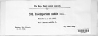 Image Associated With the Occurrence